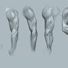 Brachioradialis, extensor carpi radialis longus, extensor carpi radialis brevis, extensor digitorum, extensor digiti minimi, extensor carpi ulnaris, and the anconeus. 1