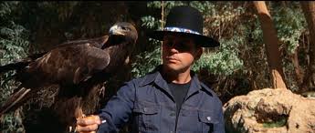 Heavy Hitter: THE TRIAL OF BILLY JACK (Warner Brothers 1974)