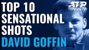 David goffin men's singles overview. David Goffin Net Worth And Tennis Earnings Who Is His Wife