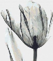 Black And White Silhouette Cross Stitch Patterns Floral Cross Stitch Pattern Pdf Cool Cross Stitch Tulip Black Etsy Floral Cross Stitch Pattern Floral Cross Stitch Cross Stitch Silhouette