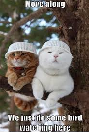 A blog dedicated to the best funny animal photos and pictures on the net. F U N N Y A N I M A L J O K E S C L E A N Zonealarm Results