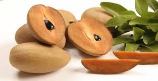 Fresh Sapota/Fresh Sapodilla (Chikoo) at best price in Mumbai