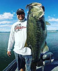 Also, i am now guiding on lake berryessa where you can catch largemouth, smallmouth, and spotted bass all on the same trip. Check Out This Clear Lake Hawg From The Boys At Tacticalbassin Fish Like This Are Why People Travel From Bass Fishing Pictures Fishing Pictures Gone Fishing