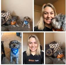Banfield Pet Hospital Office Photos Glassdoor