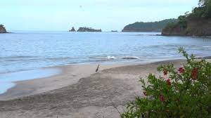 Free Virtual Background Videos For Zoom Free Video Download Coverr Virtual Background Advertising Campaign Projects