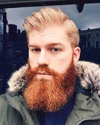 Pin On B Beard Beyond