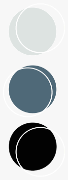 Check spelling or type a new query. Color Black Palette Anatomy Aesthetic Kpop Aesthetic Color Palette Circle Hd Png Download Kindpng