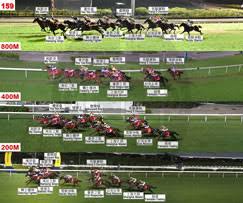 The site owner hides the web page description. è³½æžœ è³½äº‹è³‡æ–™ è³½é¦¬è³‡è¨Š é¦™æ¸¯è³½é¦¬æœƒ