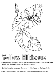 State bird and state flower coloring page. Parentune Free Printable Hawaiian State Flower Coloring Picture Assignment Sheets Pictures For Child