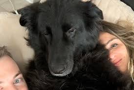 Gresham Halstead Photography (@greshamhalsteadphoto) • Instagram photos and  videos