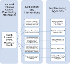 Progress In Tobacco Control In Singapore Lessons And Challenges In The Implementation Of The Framework Convention On Tobacco Control Amul 2018 Asia Amp The Pacific Policy Studies Wiley Online Library