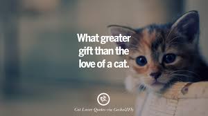 True friends are always present in every walk of your life. 25 Cute Cat Images With Quotes For Crazy Cat Ladies Gentlemen And Lovers