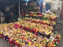 Adaugă bucuresti piata vanzatoare de flori. Sfat Pentru BÄƒrbaÈ›i Unde GÄƒsiÈ›i Paradisul Florilor Ieftine E Cool SÄƒ Fii TÄƒtic