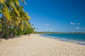 Die Schonsten Strande Auf Martinique Reisen Exclusiv