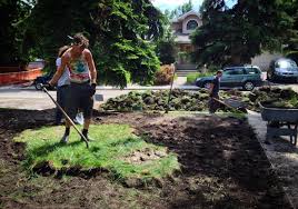Front yard landscape ideas no grass. Goodbye Grass Lawn Free Living In Alberta Cbc News