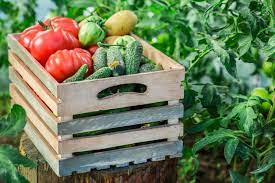 Plant squash next to tomatoes, beans, carrots, and cucumbers for even more vegetables. Top 20 Garden Vegetables To Grow Kellogg Garden Organics