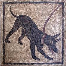Canis lupus familiaris - Wikipedia, la enciclopedia libre