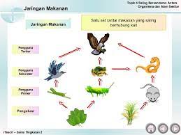 All about science cikgu diana koleksi ebook nota sains kssm tingkatan 4. Download Nota Sains Tingkatan 2 Yang Bernilai Untuk Para Guru Cetakkan Pendidikan Abad Ke 21