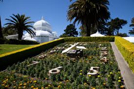 Sf conservatory of flowers | a unique living museum bursting with rare exotic botanicals, just waiting to be discovered. Conservatory Of Flowers Rebecca S Reviews