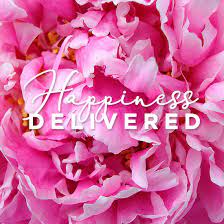 Send flowers online free delivery. Qk7 Eqdcbcyzjm