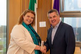 Labour and Sinn Féin councillors co-opted in Wexford as new TDs replaced