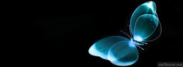Blue Butterfly Cover Myfbcover Com Blue Butterfly Facebook Cover Photos Cover Photos