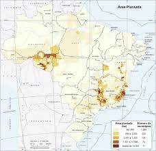 Starbuck was called the chief assistant captain from the novel moby. The Waves Of Coffee And The Emergence Of The New Brazilian Consumer Sciencedirect