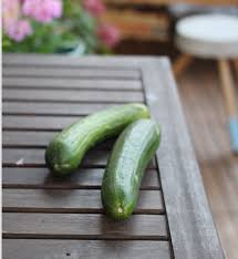 Das ist der optimale zeitpunkt um deine gurken zu ernten #gurken #pflanzen #ernte #garten #pflanzentanzen #gartenideen2020. Gurken Anzucht Pflege Und Verwendung Beetfreunde De