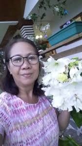 Monstera obliqua peru for sale