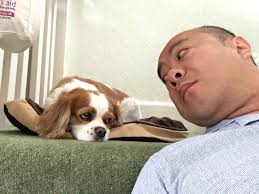 St. Pete Localtopia celebrates power of buying local