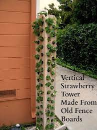 We did not find results for: Strawberry Tower Made From Fence Boards Strawberry Garden Pallet Projects Garden Vertical Strawberry Garden