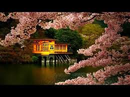 Peaceful Music Relaxing Music Instrumental Music Quot Enchanted Forest Quot By Tim Janis Youtube Meditation Music Zen Meditation Relaxing Music