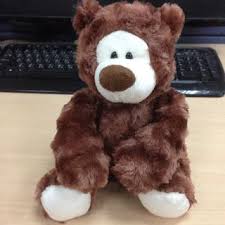 花 日光 書香 棕色熊來拜年 teddy teddy bear blog posts