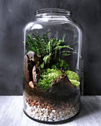 Awesome Bonsai Terrarium Jars Ideas 37 Terrarium Jar Terrarium Terrarium Plants
