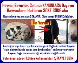Karaman Hayvan Haklari Dayanisma Home Facebook