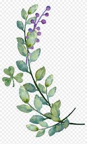 Find Hd Watercolor Leaves Png Image Watercolor Leaf Vector Png Transparent Png To Search And Downl Flores Vectorizadas Flor Ilustracion Imagenes Abstractas