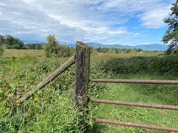 Jay 🦋: "Show me a picture in your phone that has your energy not a selfie"  — Bluesky