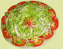 Image result for RAU MẦM CẢI XANH