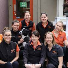 Victoria park paw spa also offers cageless doggy day care. Victoria Park Veterinary Clinic Pets Vets
