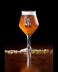 Quer aprender a preparar cerveja caseira? Especialista indica método