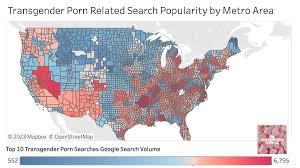 The Lovely Hypocrisy Of Conservative Transphobes | by Perry Gruber | The  Transamorous Network | Medium