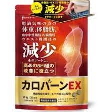 カロバーンEX ダイエットサプリ 肥満 内臓脂肪 エラグ酸 生姜エキス 体脂肪 - メルカリ