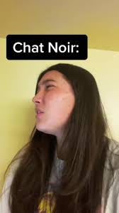 Im Amanda Cat Noir Ladybug