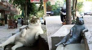 A Dearly Departed Istanbul Cat Gets A Commemorative Statue Cats Cats And Kittens Cat Statue