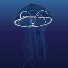 Последние твиты от jellyfish shop (@jellyfish_shop). Jellyfish Exotic Aquaculture