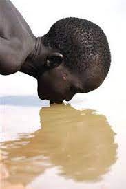 Contaminacion Del Agua Cadena Alimentaria Beautiful Photography Photo Photographer