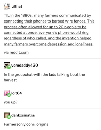 Pls Connect Me To The Party Line Funny Me Tumblr Funny Funny Posts
