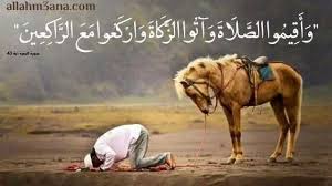 اشكركم علي افكاركم المميزه الطريقه دي شجعت اولادي علي الصلاه فاول ما يسمعوا الادان بيجروا يصلوا وبعدين يلونوا الصوره وعندهم عزيمه واصرار وتشوق لانهم يخلصوا الصوره. Ø­Ø¯ÙŠØ« Ø¹Ù† Ø§Ù„ØµÙ„Ø§Ø© ÙˆÙØ¶Ø§Ø¦Ù„Ù‡Ø§ Ø¹Ù„Ù‰ Ø§Ù„Ù…Ø³Ù„Ù…ÙŠÙ† Ø§Ù„Ù„Ù‡ Ù…Ø¹Ù†Ø§ Allahm3ana