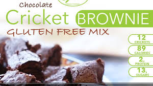 Image result for chocolate crickets recipe