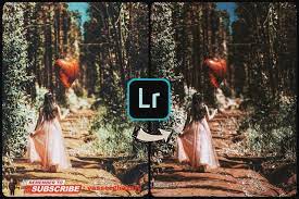 lightroommobile photo edit lightroom presets lightroom presets download photo